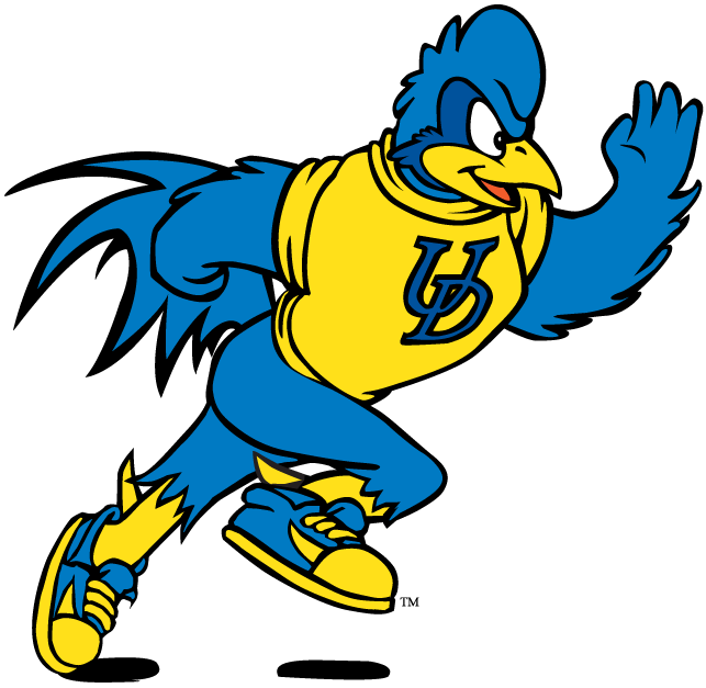 delaware blue hens 1993-pres mascot logo t shirts DIY iron ons v10